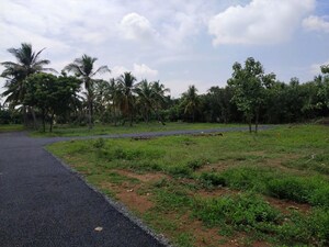 Plot Area in  Plot at Veppampattu – for Sale