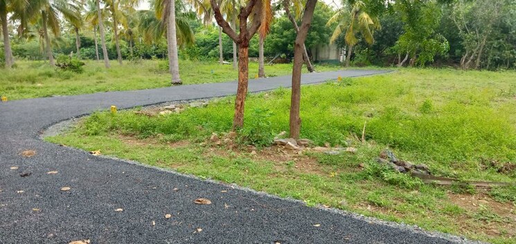 Garden, veppampattu  1050 Sq.Ft. Plot In Veppampattu Chennai 9911023