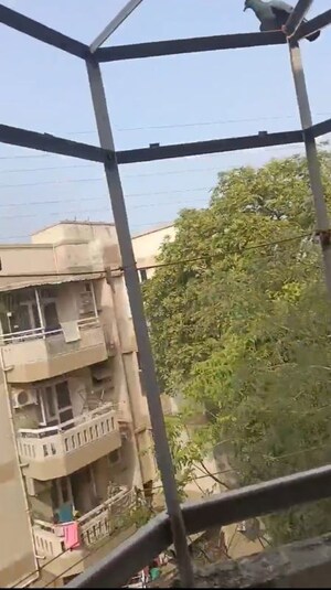 1 BHK Apartment – Exterior View View at Sector 21c - for Rent