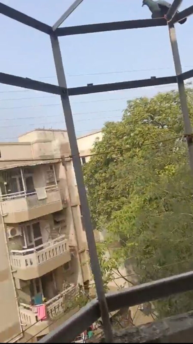 Exterior View, sector 21c 1 Bedroom 500 Sq.Ft. Apartment In Sector 21c Faridabad 9911091