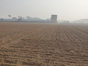 Plot Area in  Land at Pataudi – for Sale