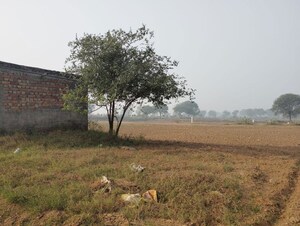 Plot Area in  Land at Pataudi – for Sale