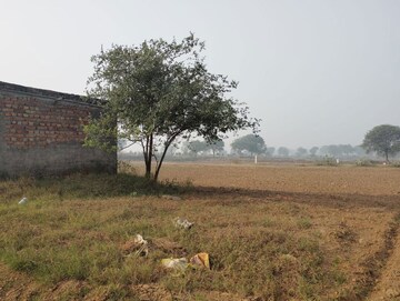 Plot Area in  Land at Pataudi – for Sale