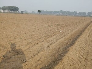 Plot Area in  Land at Pataudi – for Sale