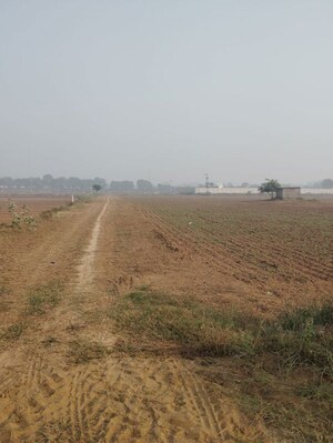 Plot Area in  Land at Pataudi – for Sale
