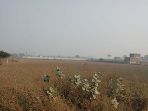  Land For Sale in Pataudi