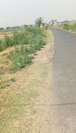Plot For Sale in Jewar