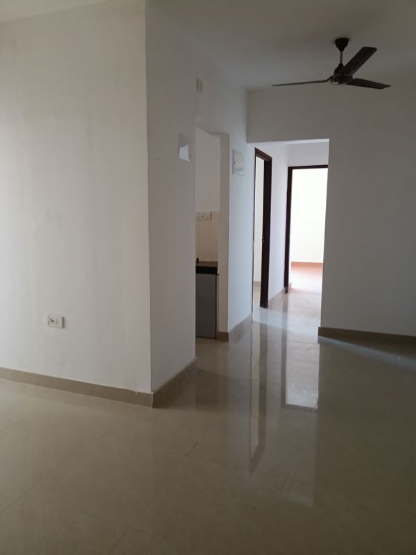 2 BHK + Pooja Room Apartment For Rent in DB Orchid Ozone
