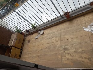 Balcony in 1 BHK Apartment at Godrej Boulevard, Manjari – for Rent