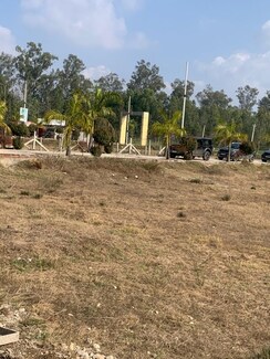 Plot For Sale in Mohabbewala