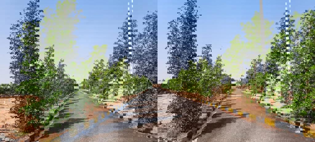 Plot For Sale in JB Nature Valley