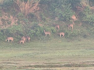 Plot Area in  Plot at Dameera City Plots, Sector 121 – for Sale