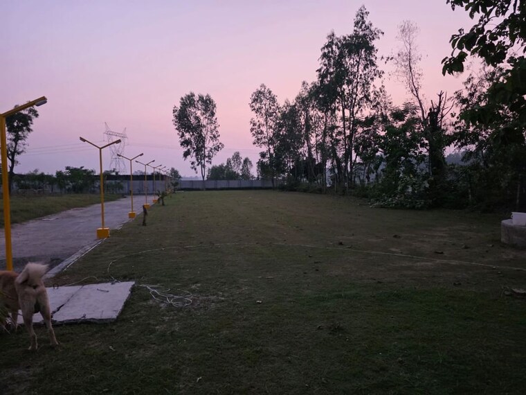 Garden, dameera-city-plots  164 Sq.Yd. Plot In Sector 121 Faridabad 9912142
