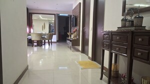 3 BHK Apartment For Rent in Dhakoli