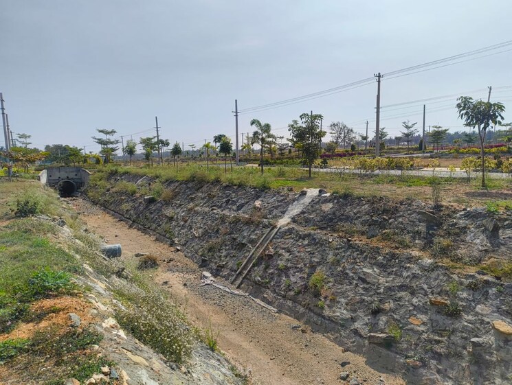 undefined, vijay nagar  1200 Sq.Ft. Plot In Vijay Nagar Hassan 9912240