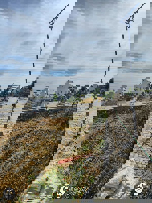 Plot For Sale in Ideal Colony