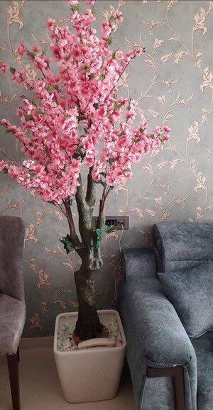 Living Room in 2 BHK Apartment at Rustomjee Urbania Azziano, Thane West – for Rent