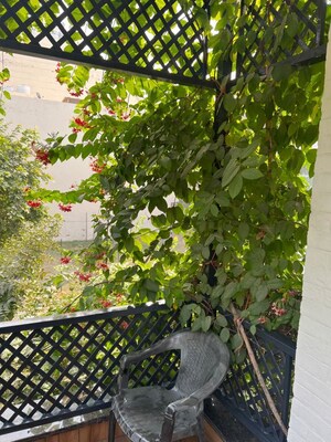 Balcony in 3.5 BHK Independent House at Palam Vihar Residents Association, Palam Vihar – for Rent