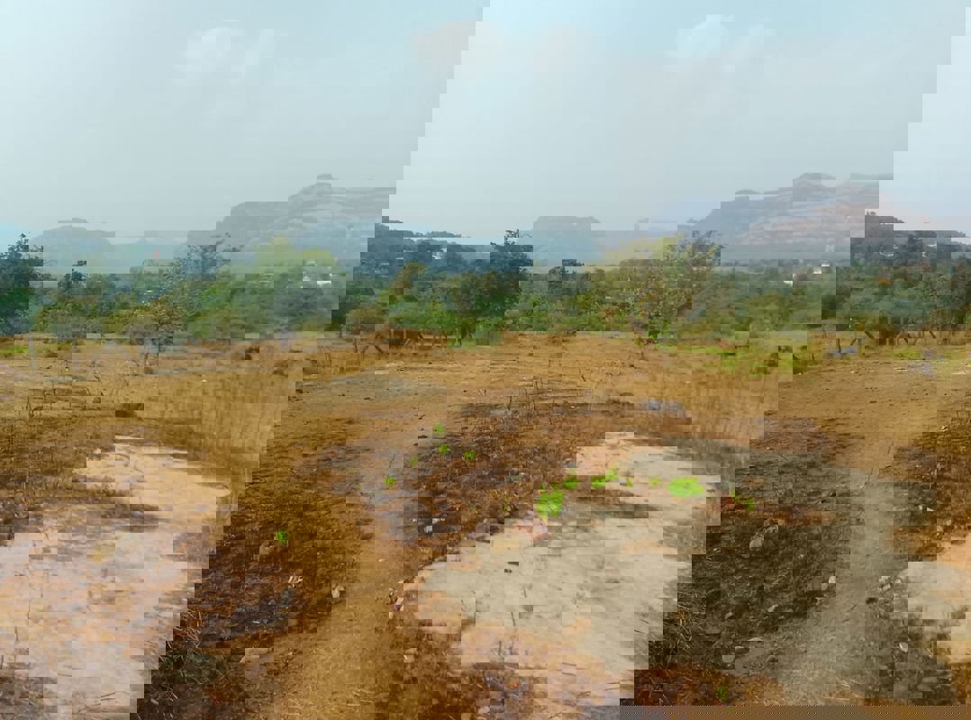 Plot For Sale in Dronagiri