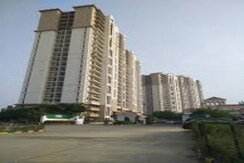 4 BHK Apartment For Sale in DLF New Town Heights I