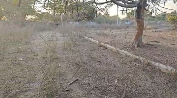 Plot Area in  Plot at Medchal – for Sale