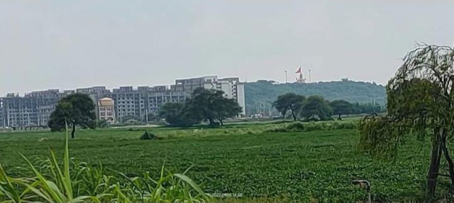 Plot For Sale in Barodiya Ema