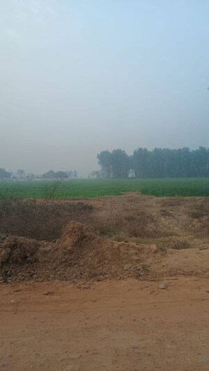  Plot For Sale in Hodal