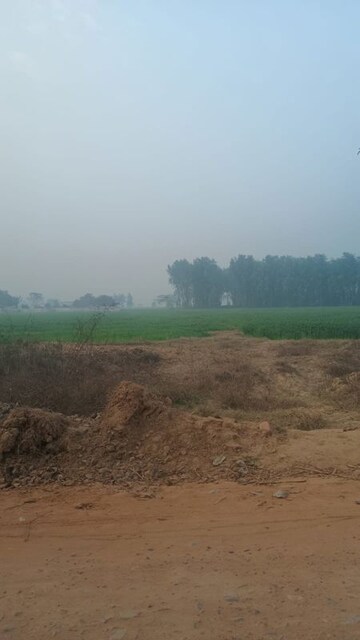  Plot For Sale in Hodal