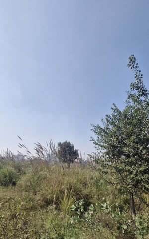 Plot Area in  Plot at SectoR-27 – for Sale