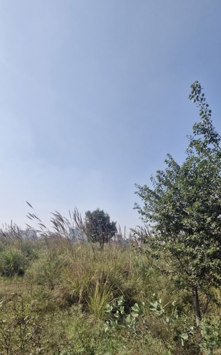 undefined, sector 27  161 Sq.Yd. Plot In SectoR 27 Rohtak 9913761