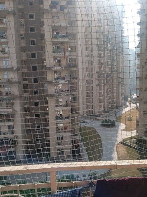  Shop For Rent in Meridian View Plaza, Alpha 1 Greater Noida