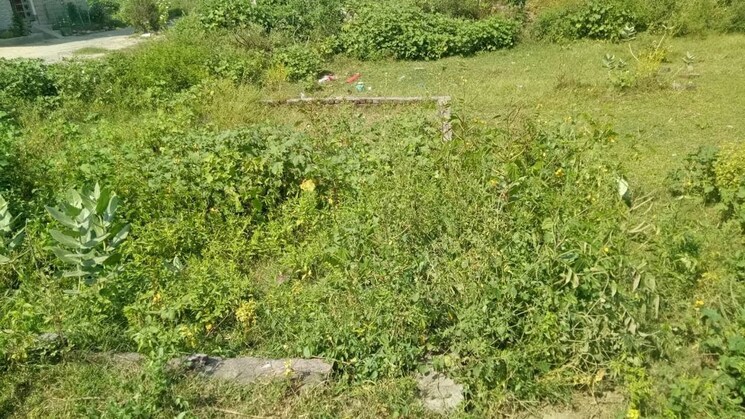 Exterior View, sector 64  250 Sq.Yd. Plot In Sector 64 Faridabad 9914646