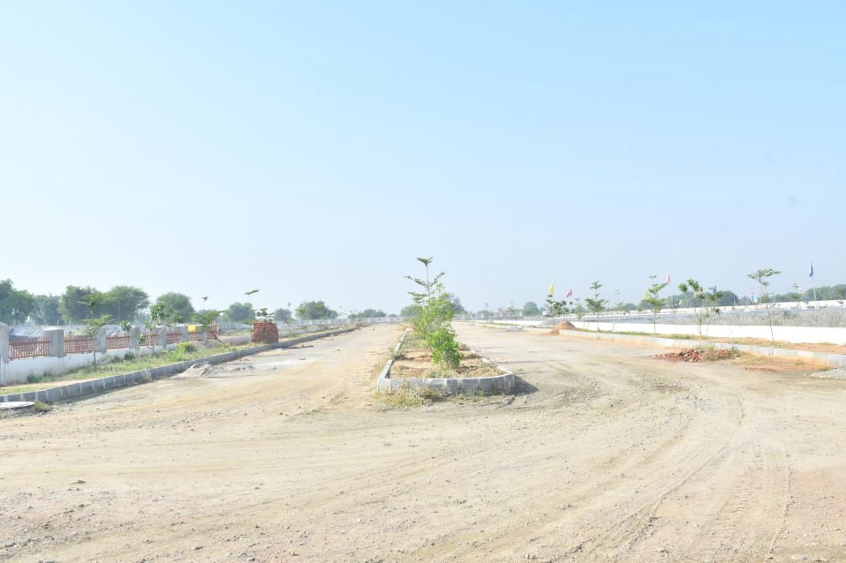 Plot For Sale in Sector 1 Wave City