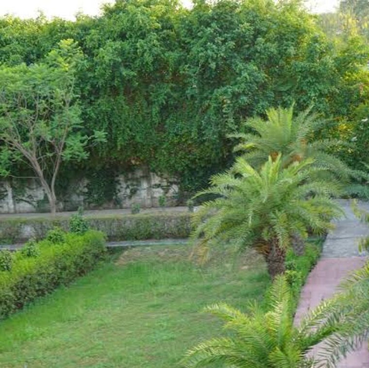 Garden, jewar  779 Sq.Ft. Plot In Jewar Greater Noida 9915649