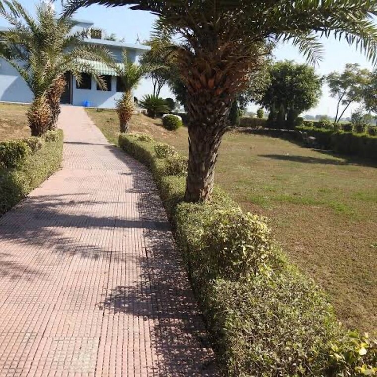 Garden, jewar  895 Sq.Ft. Plot In Jewar Greater Noida 9915683