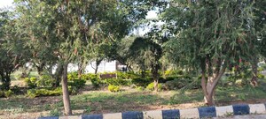 Plot Area in  Plot at JR Greenwoods, Chandapura Anekal Road – for Sale
