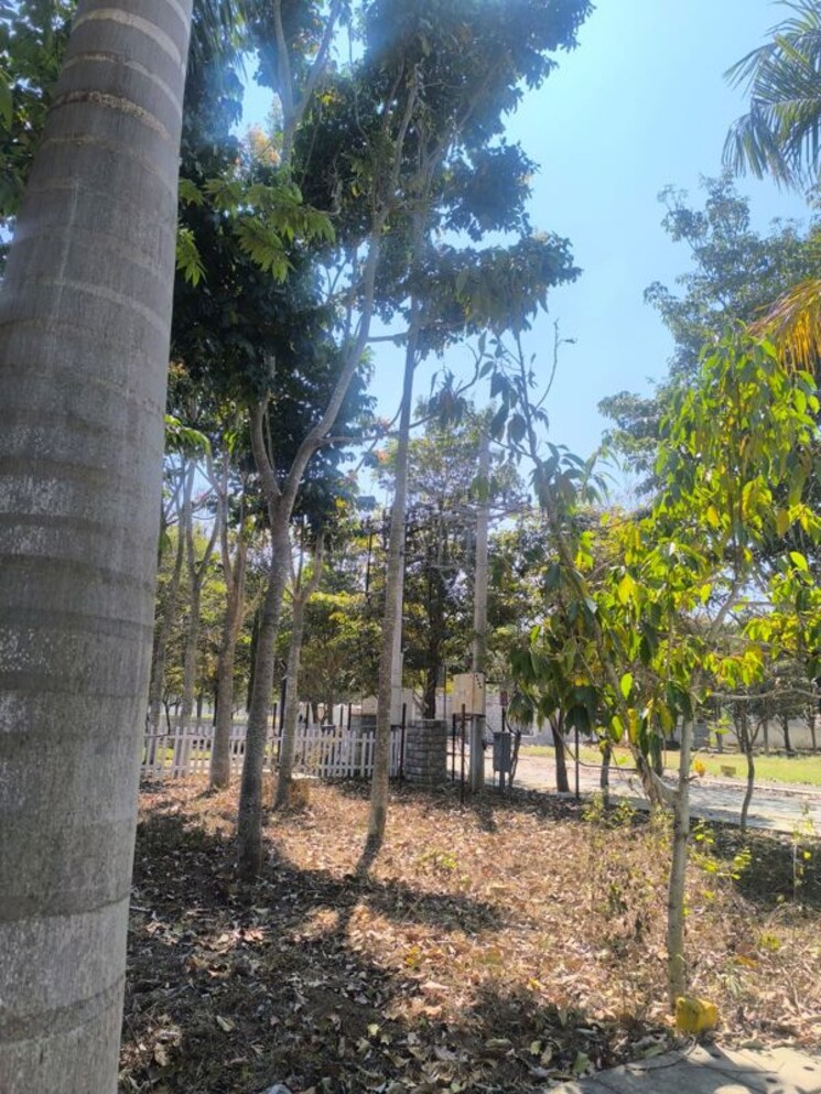 Garden, jr-greenwoods  1200 Sq.Yd. Plot In Chandapura Anekal Road Bangalore 9916314