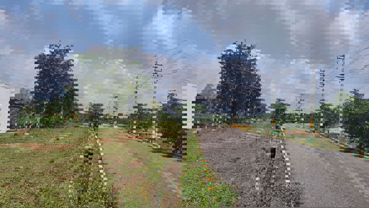 Plot For Sale in Sathnur