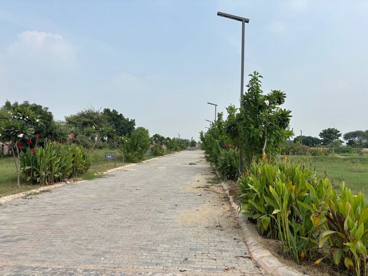 undefined, parklands  362 Sq.Yd. Plot In Sector 85 Faridabad 9916388