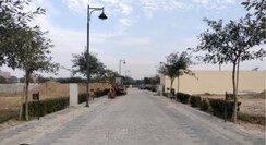 Plot For Sale in Sector 84
