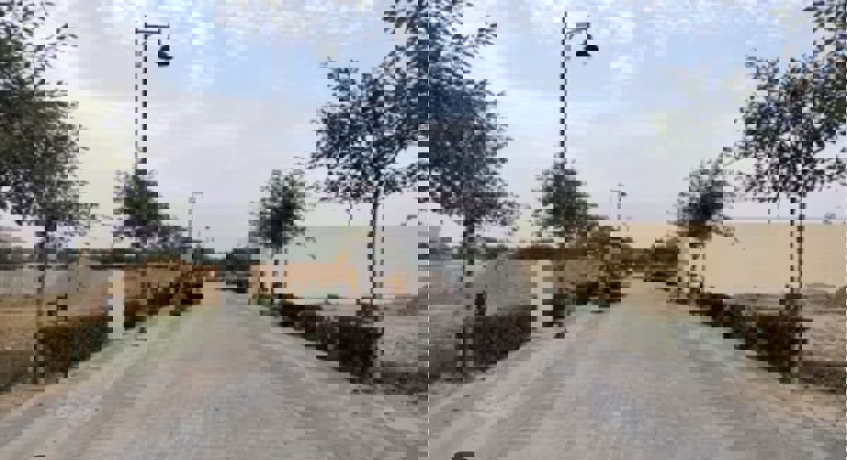 Plot For Sale in Sector 84