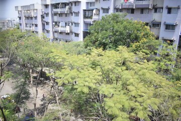 1 BHK Apartment For Sale in Ambegaon Budruk