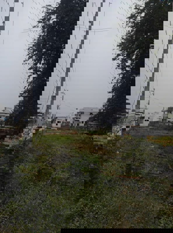 Plot For Sale in Nagole