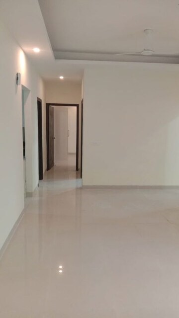 2 BHK Apartment For Rent in Amrapali Zodiac, Sector 120