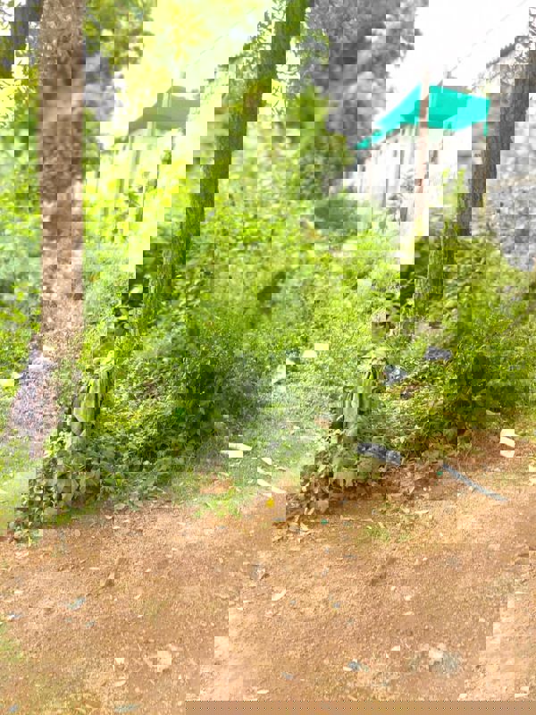 Plot For Sale in Prashanth Nagar