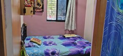 1 BHK Apartment For Rent in Redwoods CHS