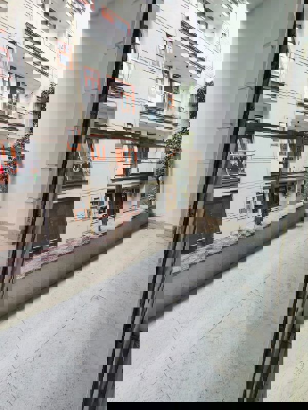 3 BHK + Study Room Builder Floor For Rent in Saket