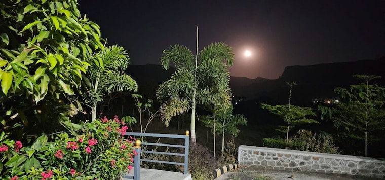 Garden, igatpuri  11000 Sq.Ft. Plot In Igatpuri Nashik 9917450