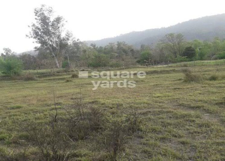 undefined, shimla bypass road  258 Sq.Yd. Plot In Shimla Bypass Road Dehradun 9917718