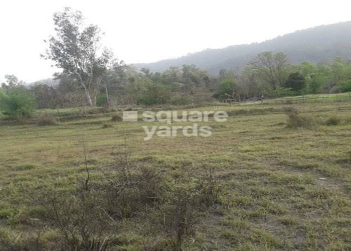 Plot For Sale in Shimla Bypass Road